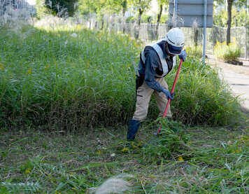 法人様向け植栽維持管理業務